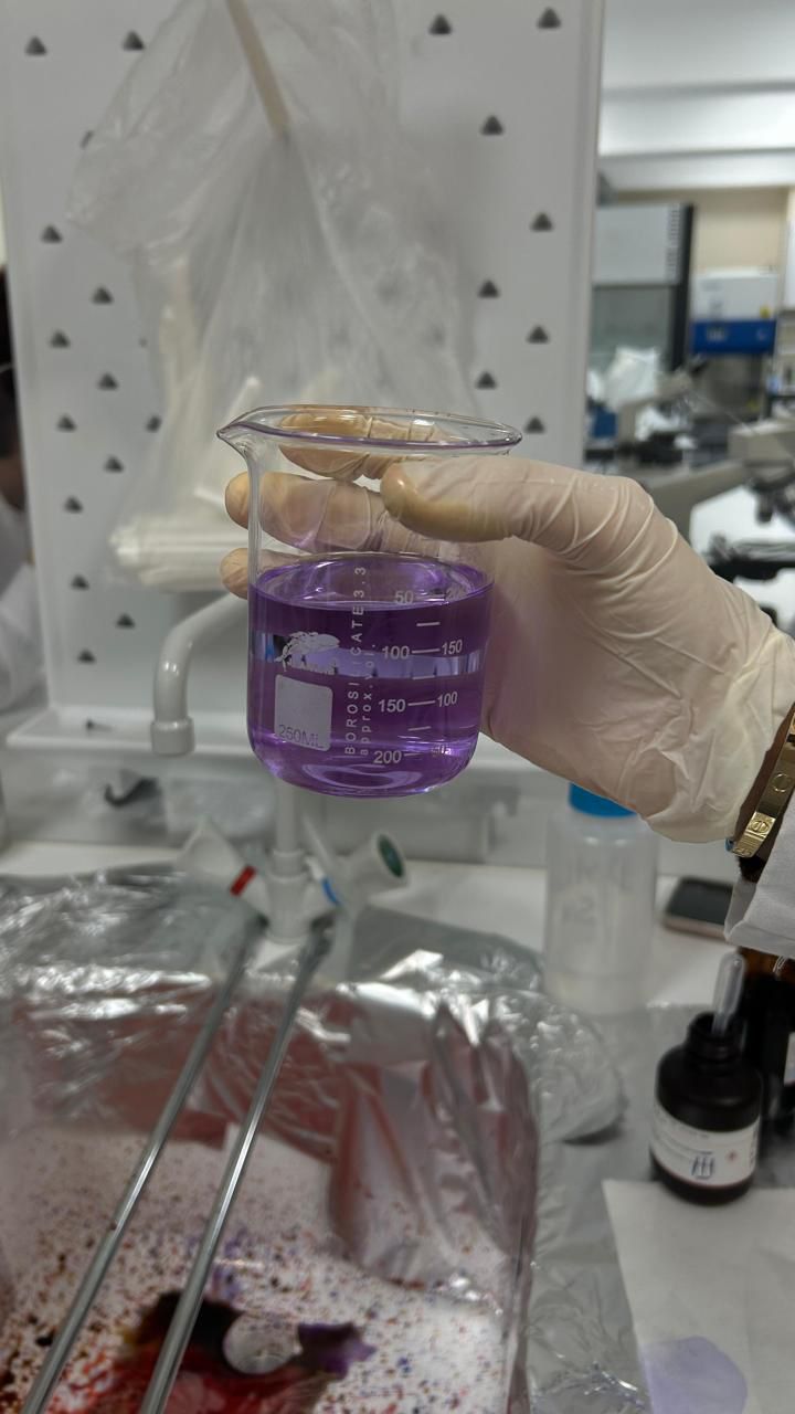 Qram Boyama Laboratoriyası